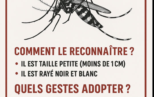 Moustique tigre : agissons ensemble